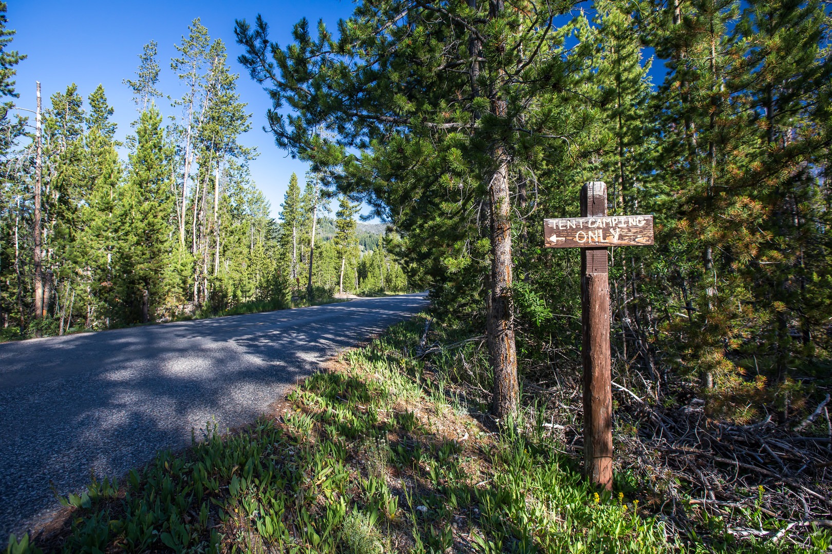 Alturas Lake TentOnly Campsites Outdoor Project