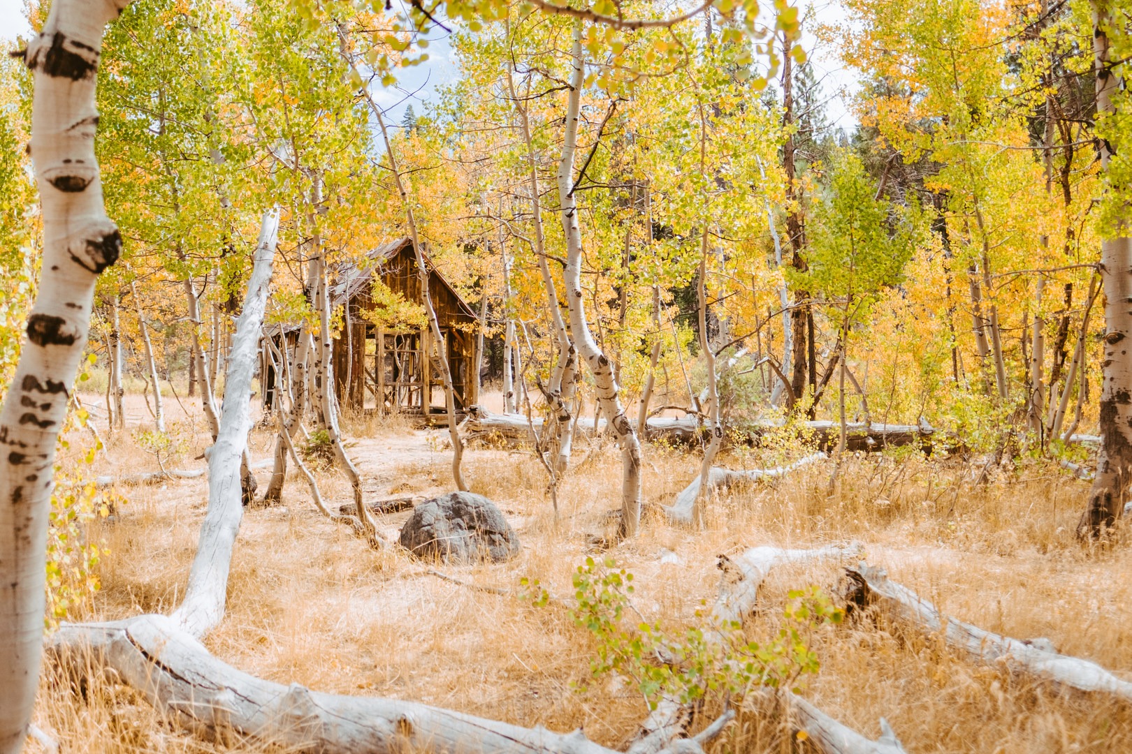 Martis Cabin, Truckee