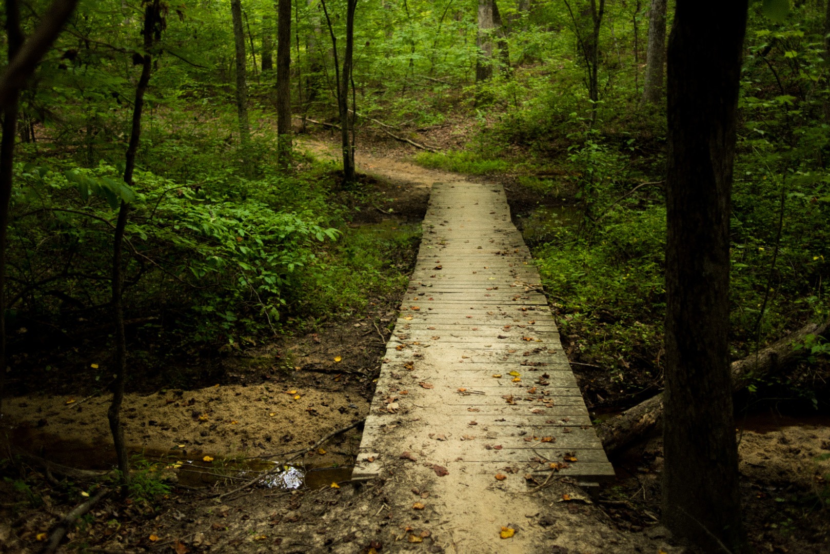 Bald Eagle Trail Outdoor Project