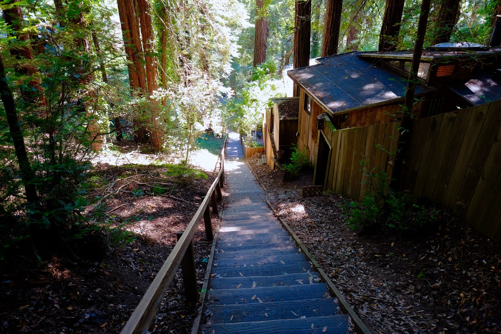 Mill Valley's Old Mill Park and the Dipsea Steps Outdoor Project