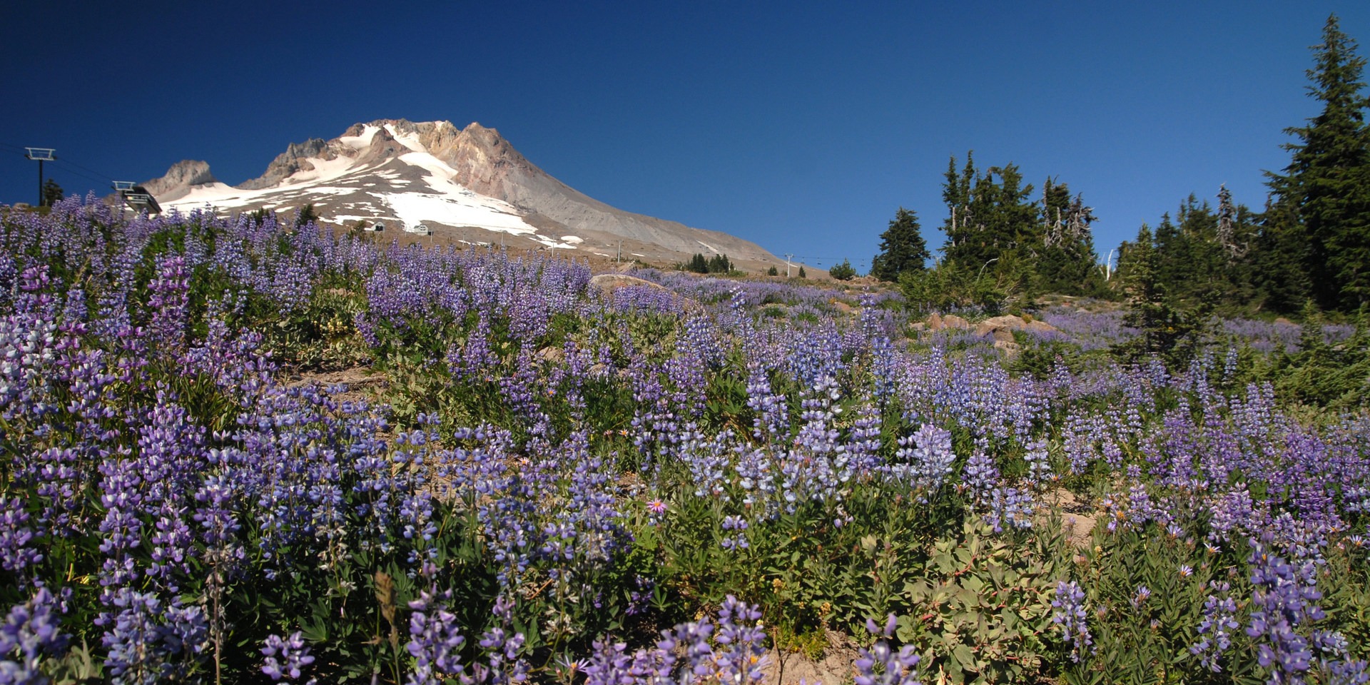 Just another incredible view of Mt. Hood