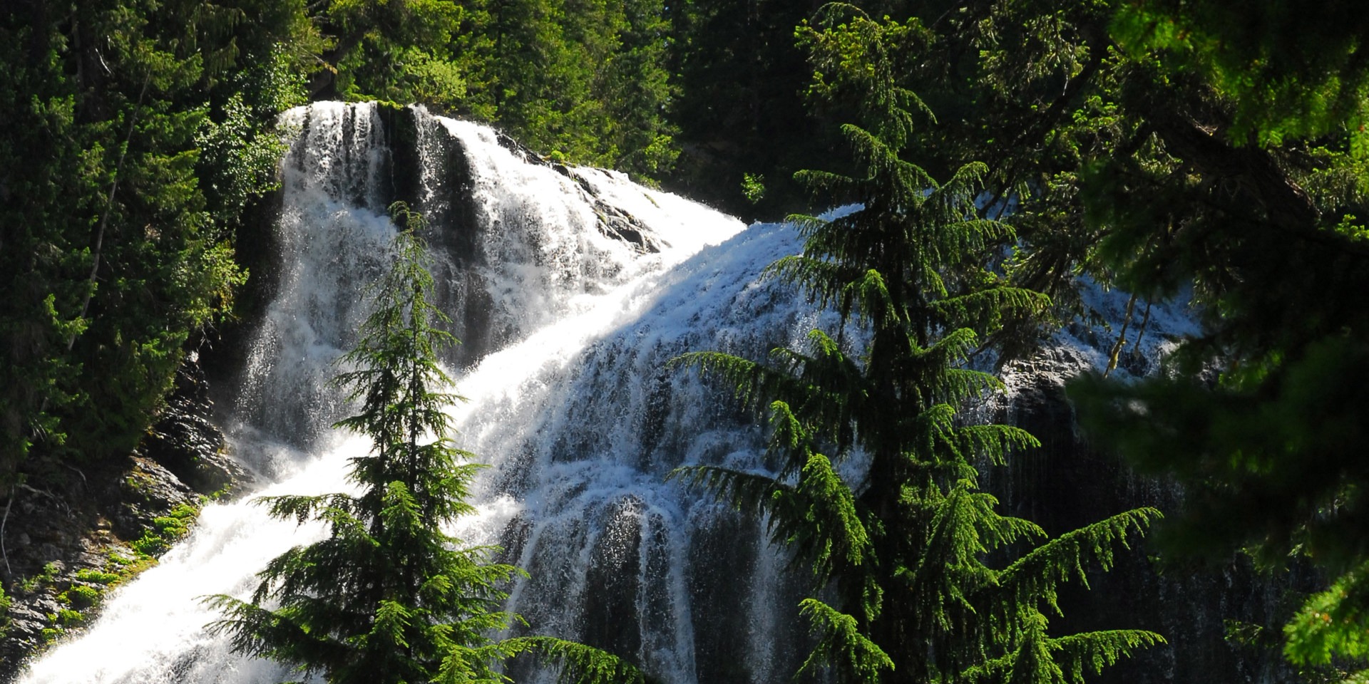 Walupt Creek Falls
