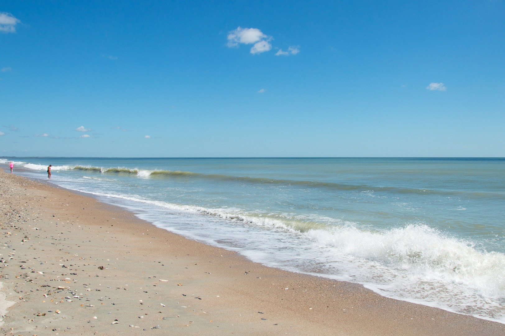 Edisto Beach Outdoor Project