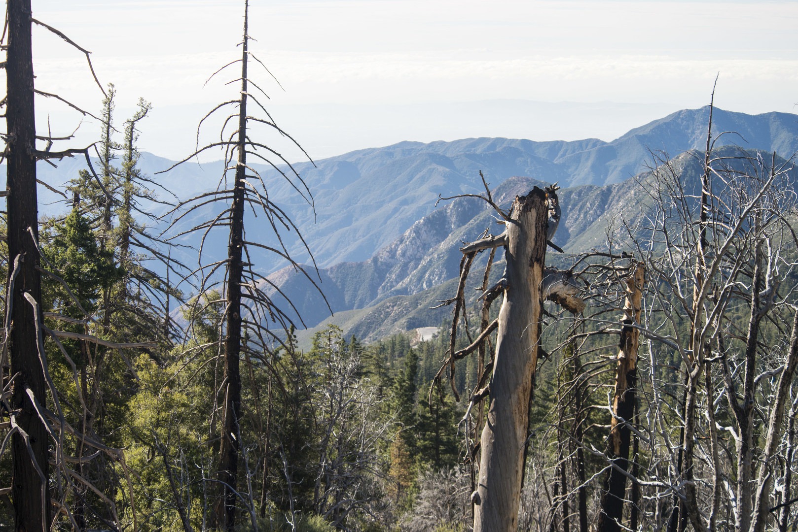 Windy Gap Trail Hike Outdoor Project