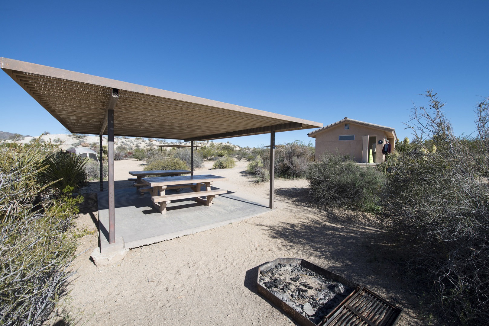 Cottonwood Campground Joshua Tree National Park Outdoor Project