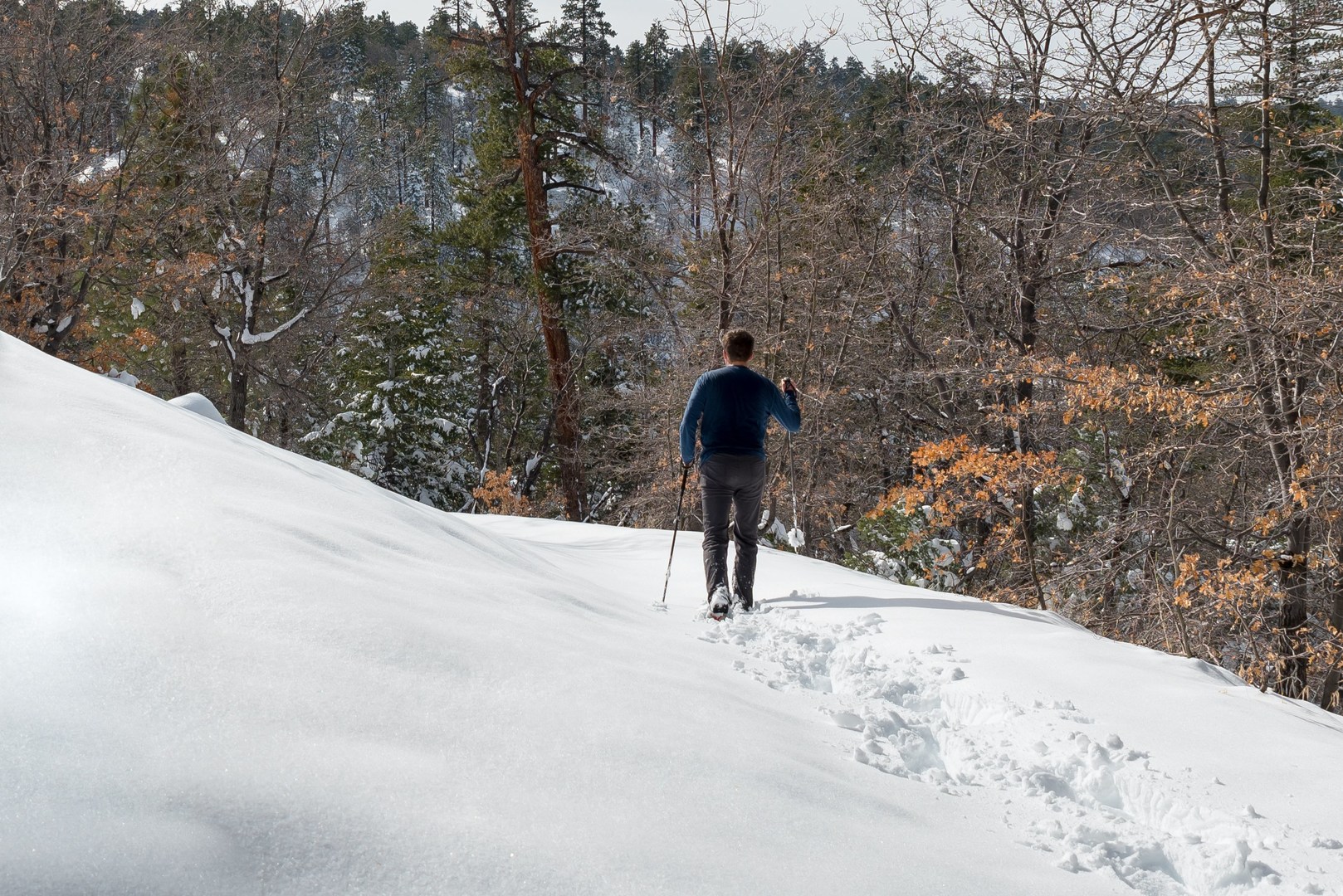 Pine Knot Trail Outdoor Project