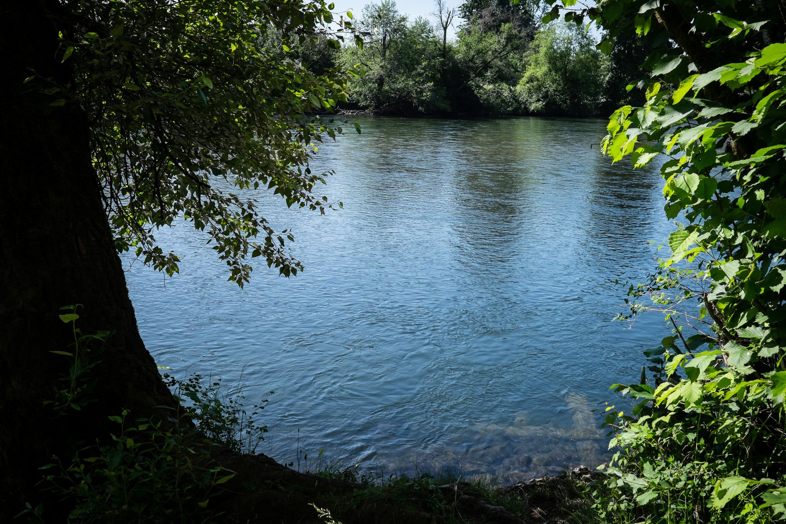 Camp Creek Road Waterworks Swimming Hole Outdoor Project