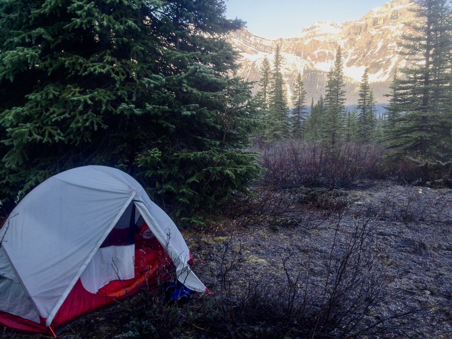 Gear Review Msr Hubba Hubba Nx 2 Tent Outdoor Project