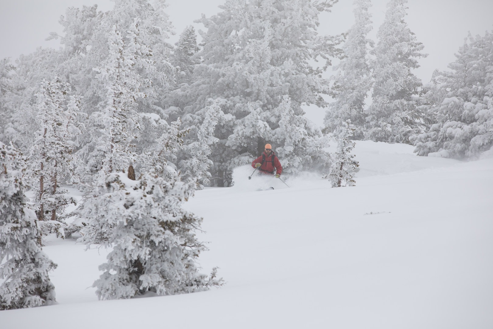 Grizzly Gulch Outdoor Project