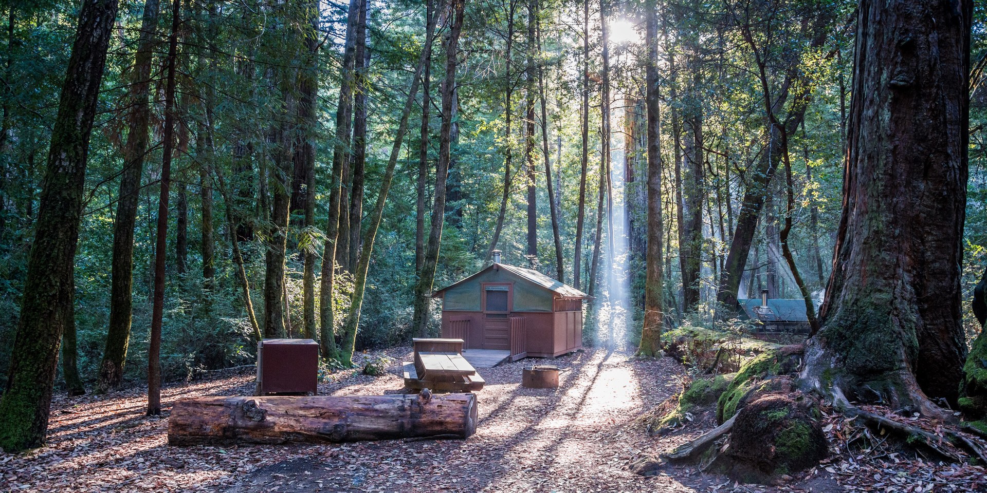 Big Basin Redwood State Park Campground