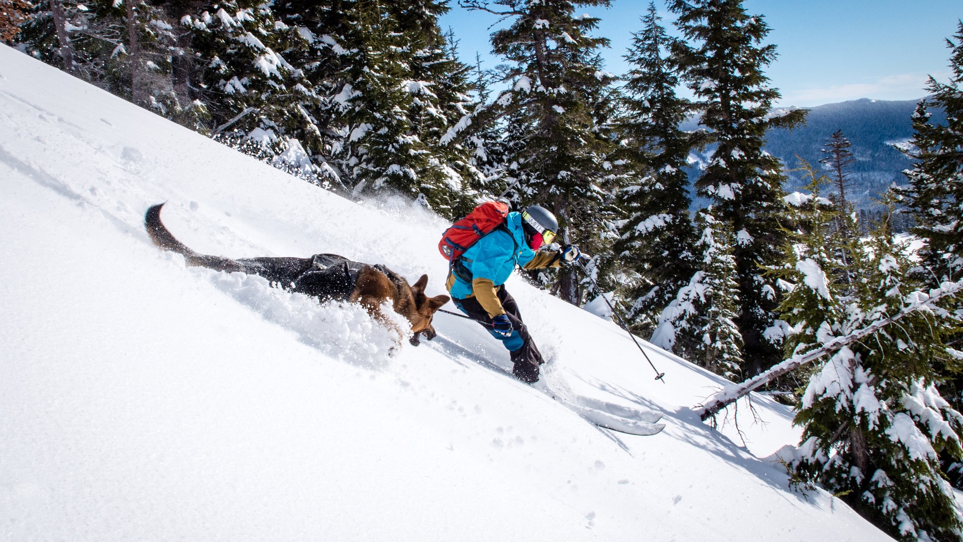 Shredding Mount Hood