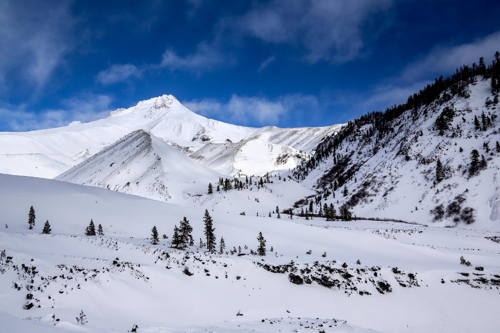 Mount Hood (11,250') from White River.