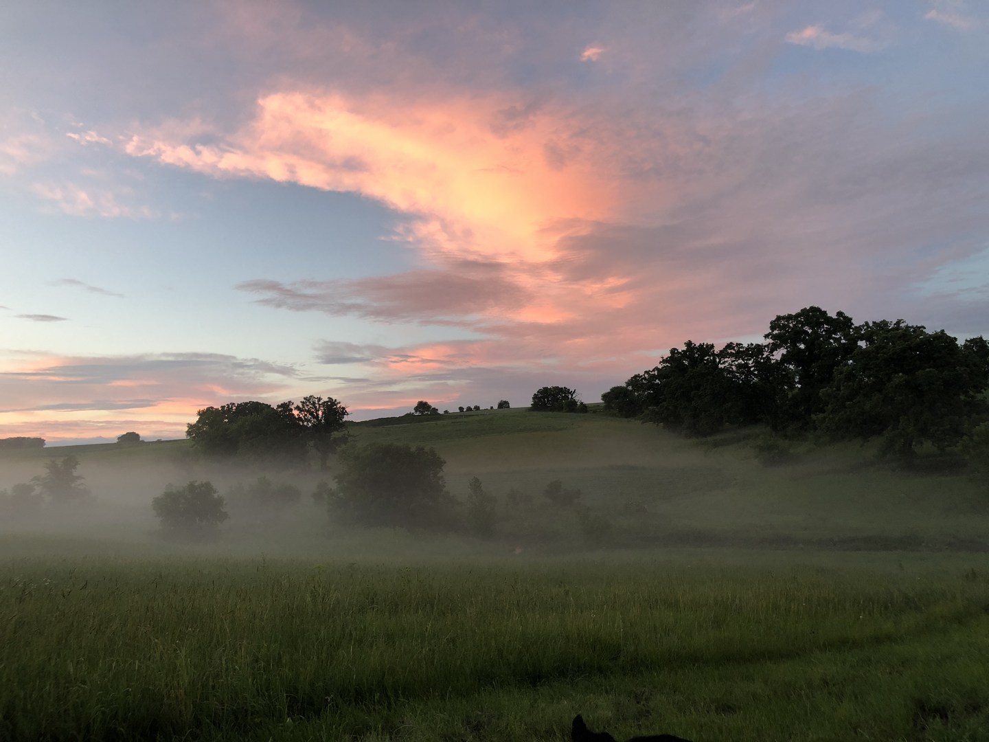The creek that re-awoke the love of the outdoors