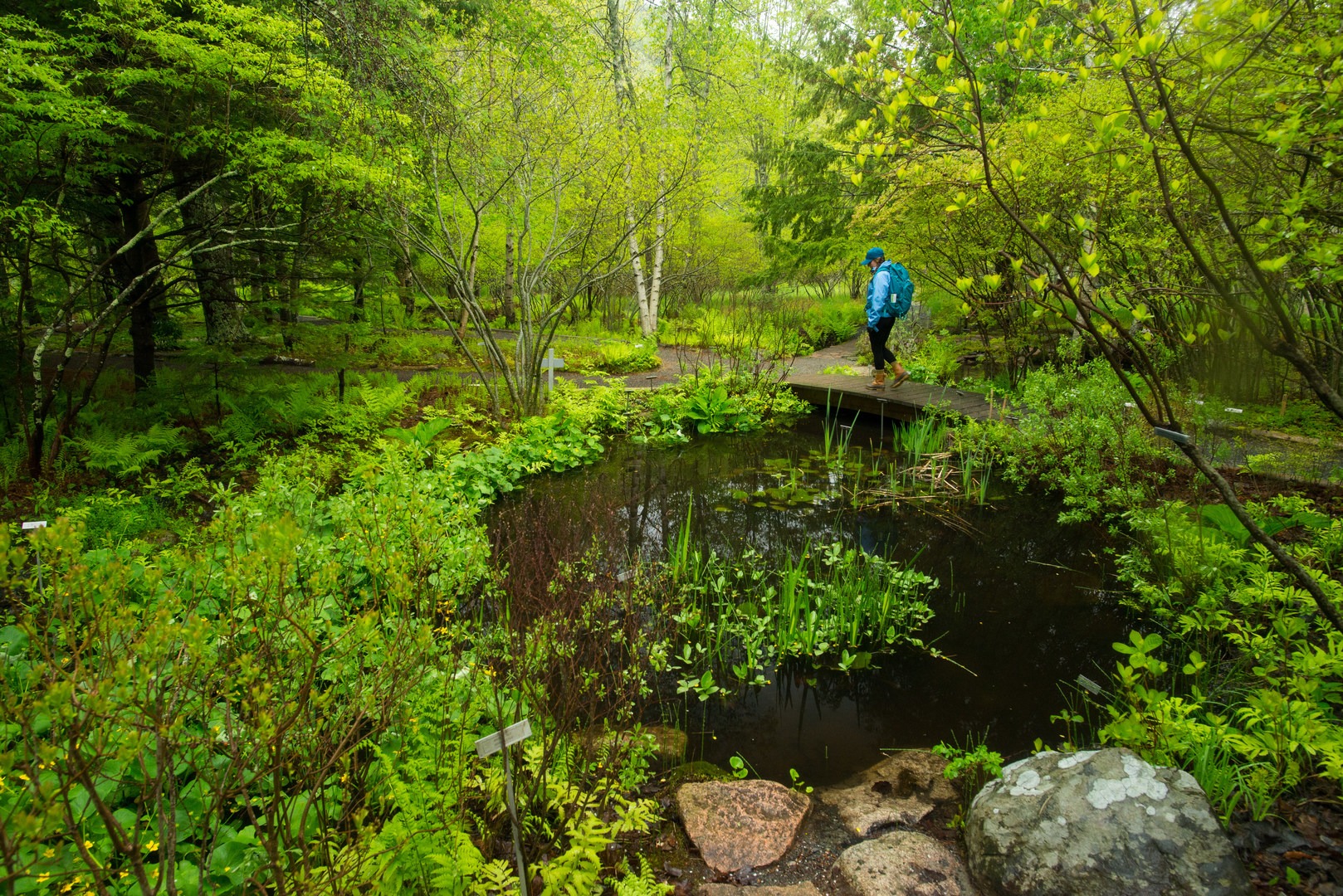 Sieur de Monts Nature Center + Wild Gardens | Outdoor Project
