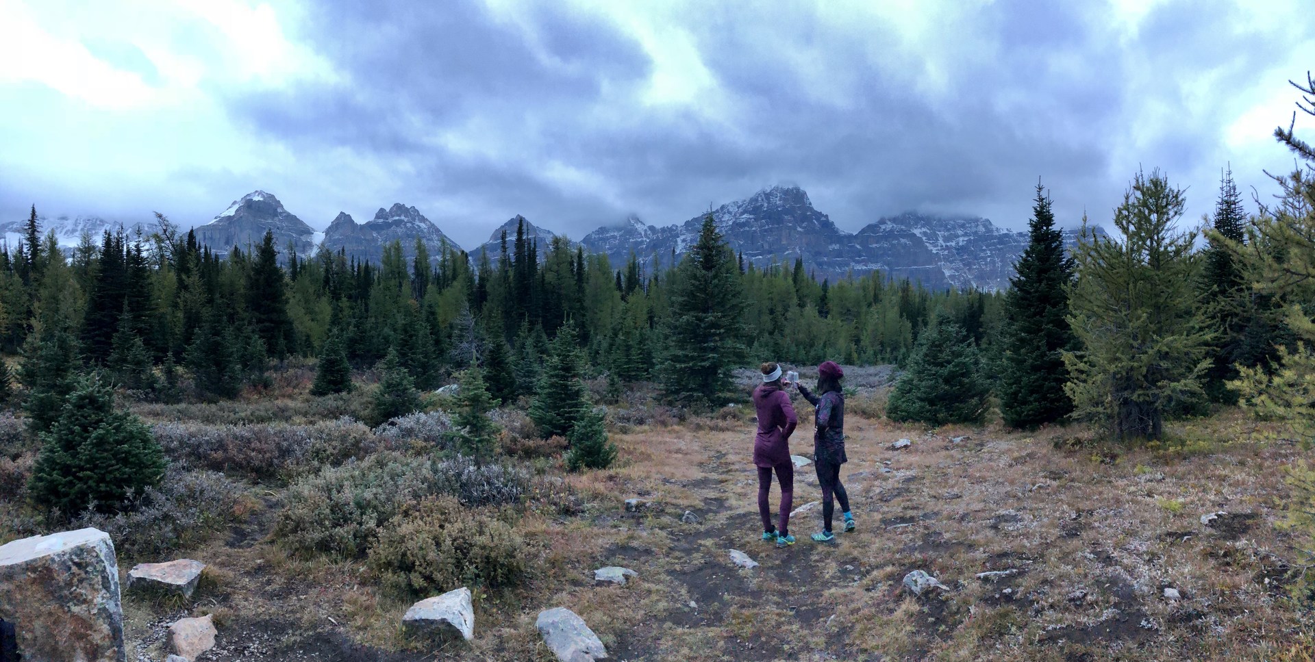 The larches weren't exactly yellow....