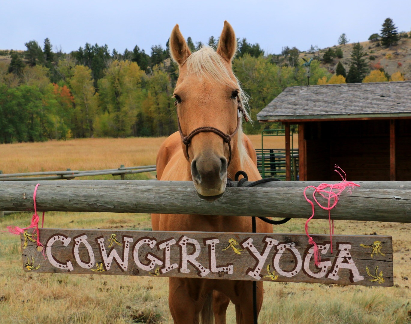 Flash welcomes you to the retreat