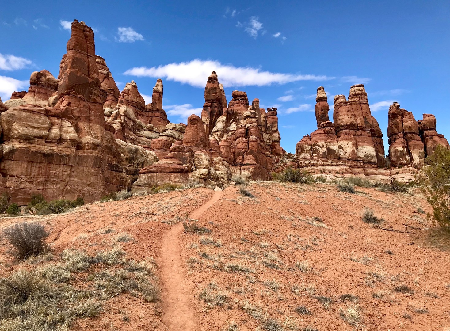 Needles in the Desert