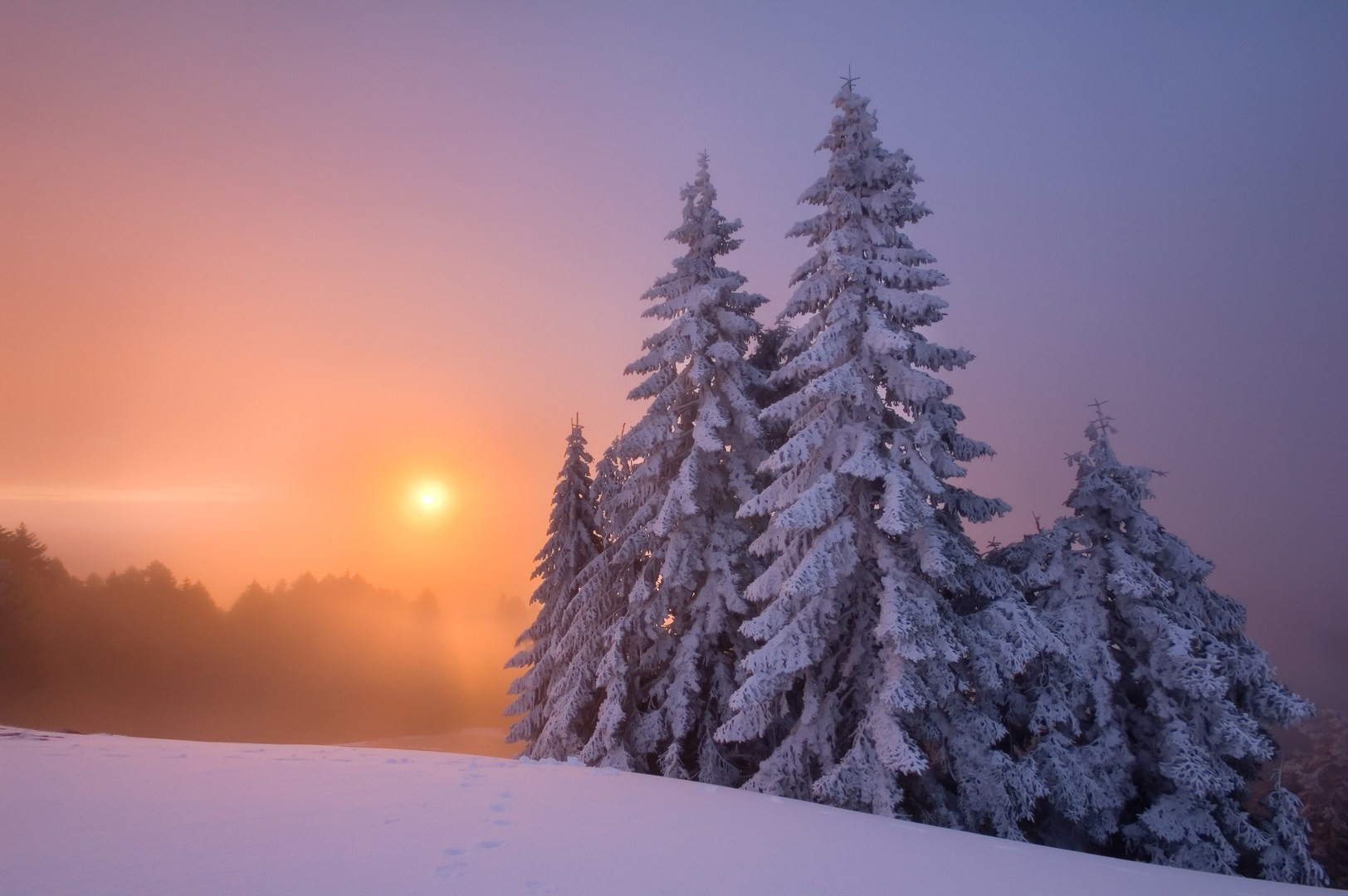 5 Great Snowshoe Trails Near Salem, Oregon Outdoor Project