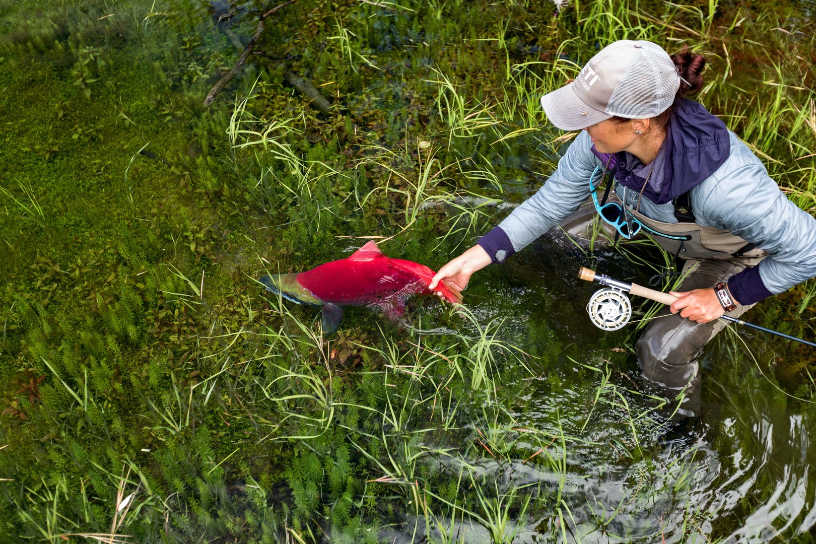 Photo by Matt McCormick.