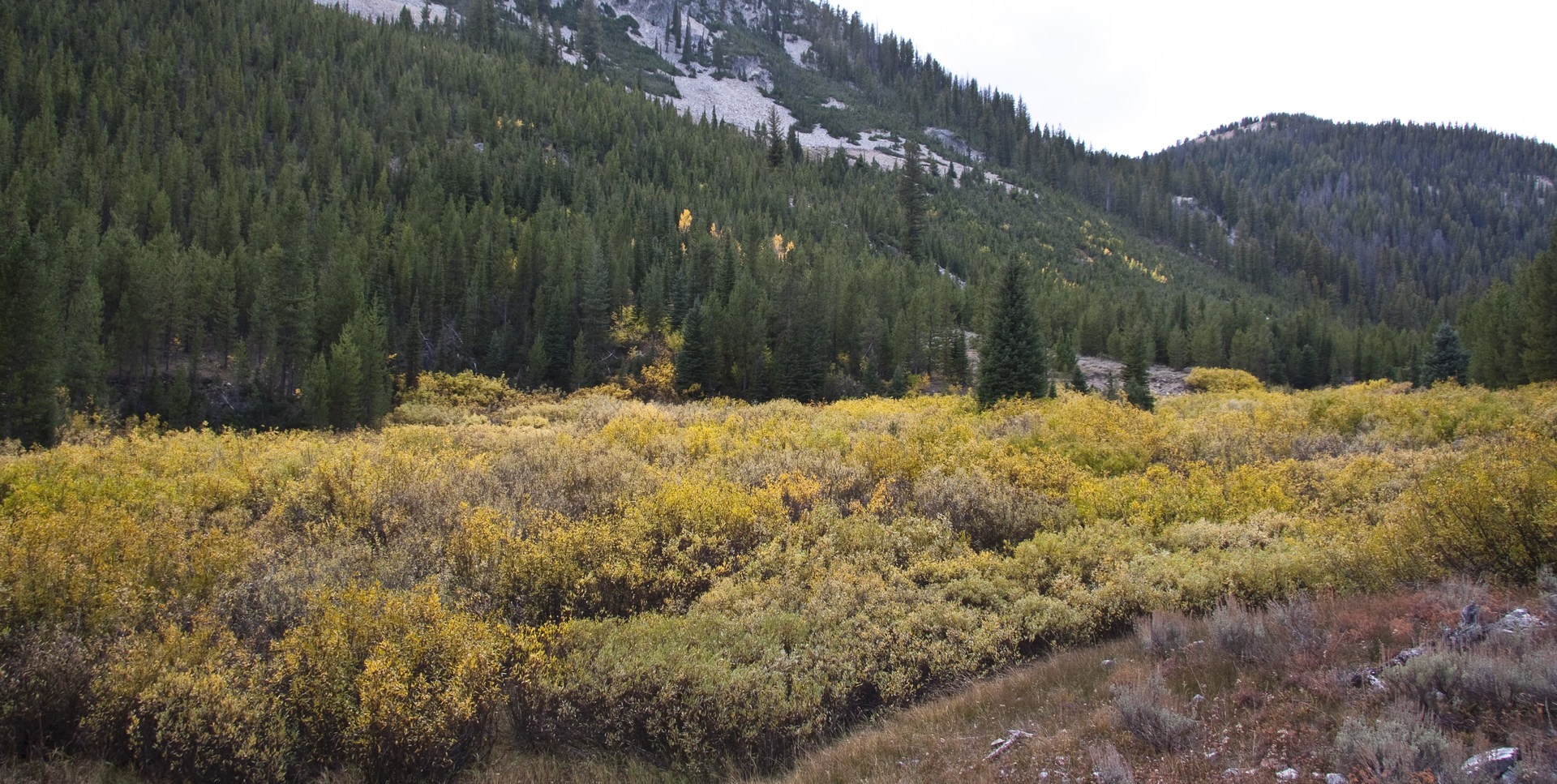 Smiley Creek to Big Smoky "Loop" Outdoor Project