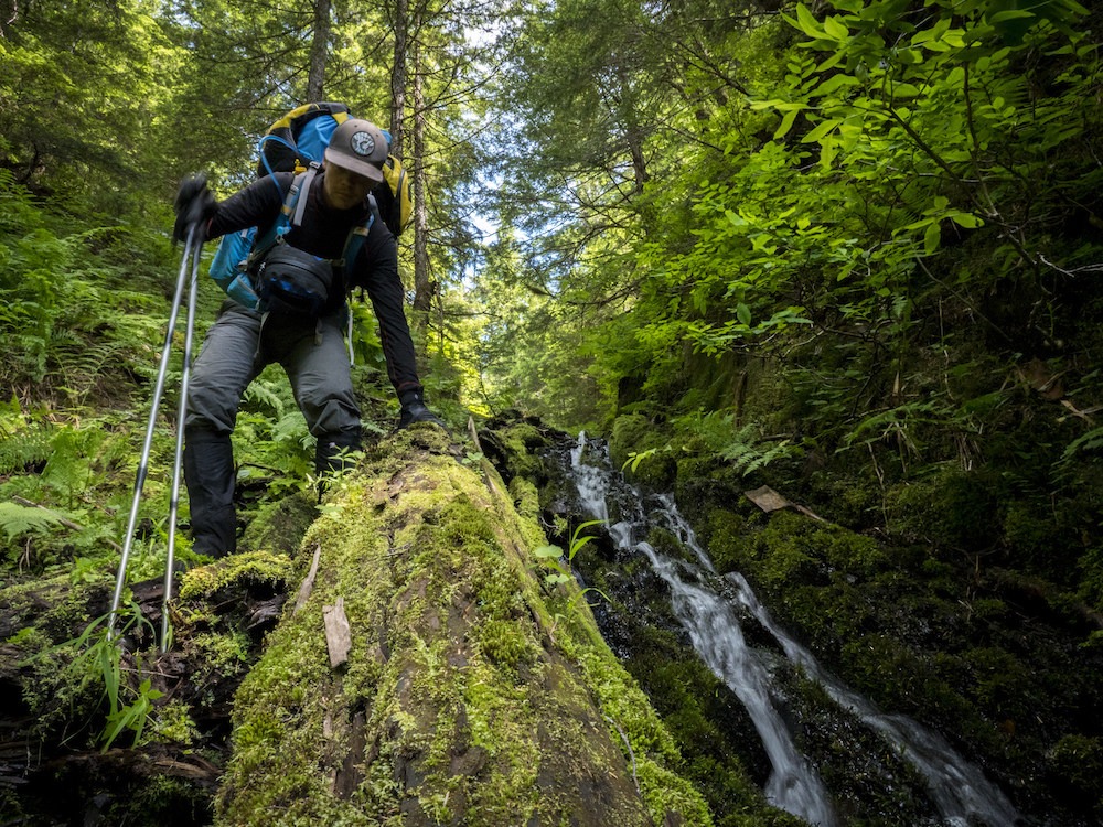 Photo by Ryan Peterson, Unuk River in AK.