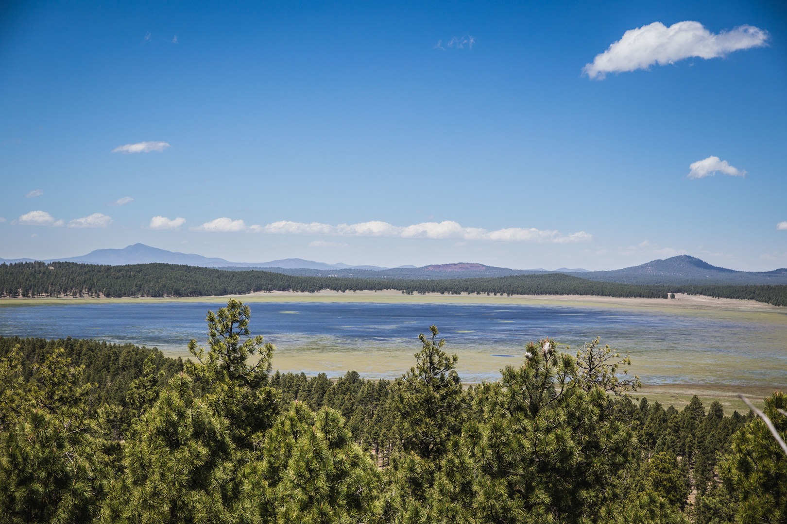 Rogers Lake County Natural Area Outdoor Project