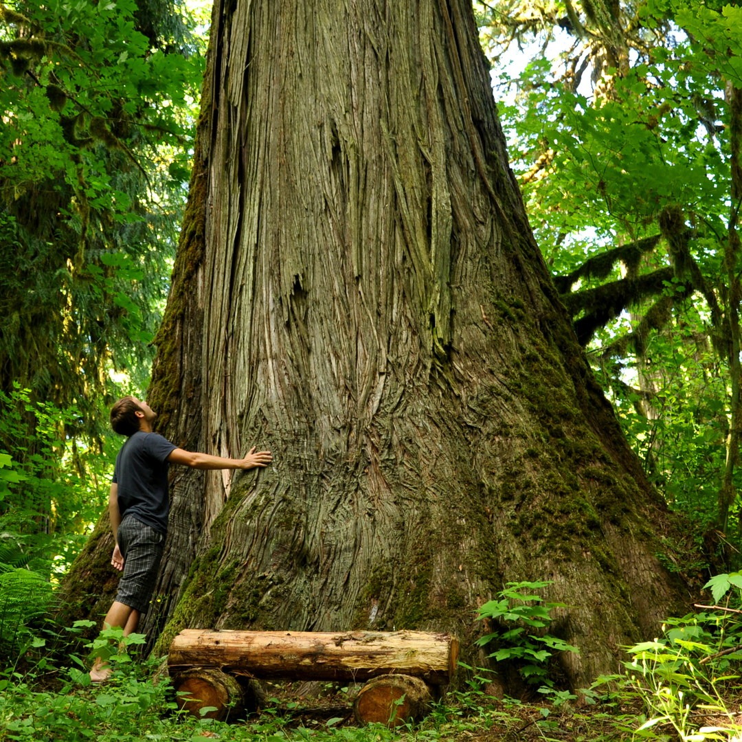 Rockport State Park Outdoor Project
