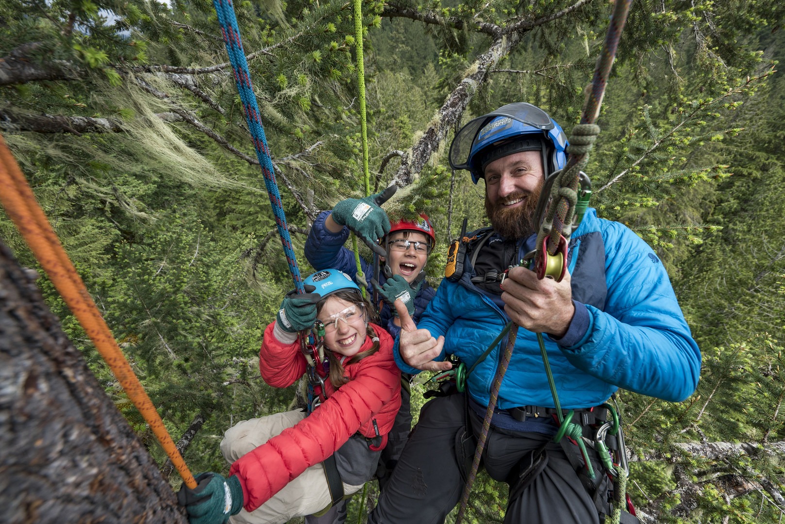 Just hanging out 200' up inside a tree, talking about slugs and stuff. #nbd