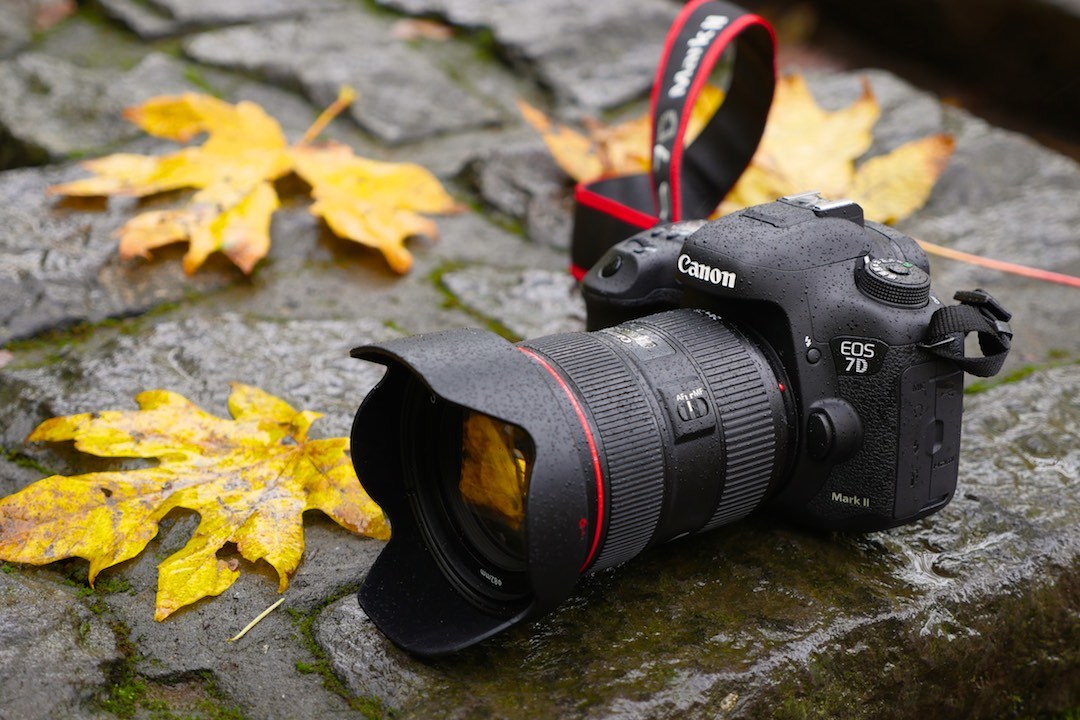 Photography Tips, Part 1 Lens Choices for Outdoor Photography