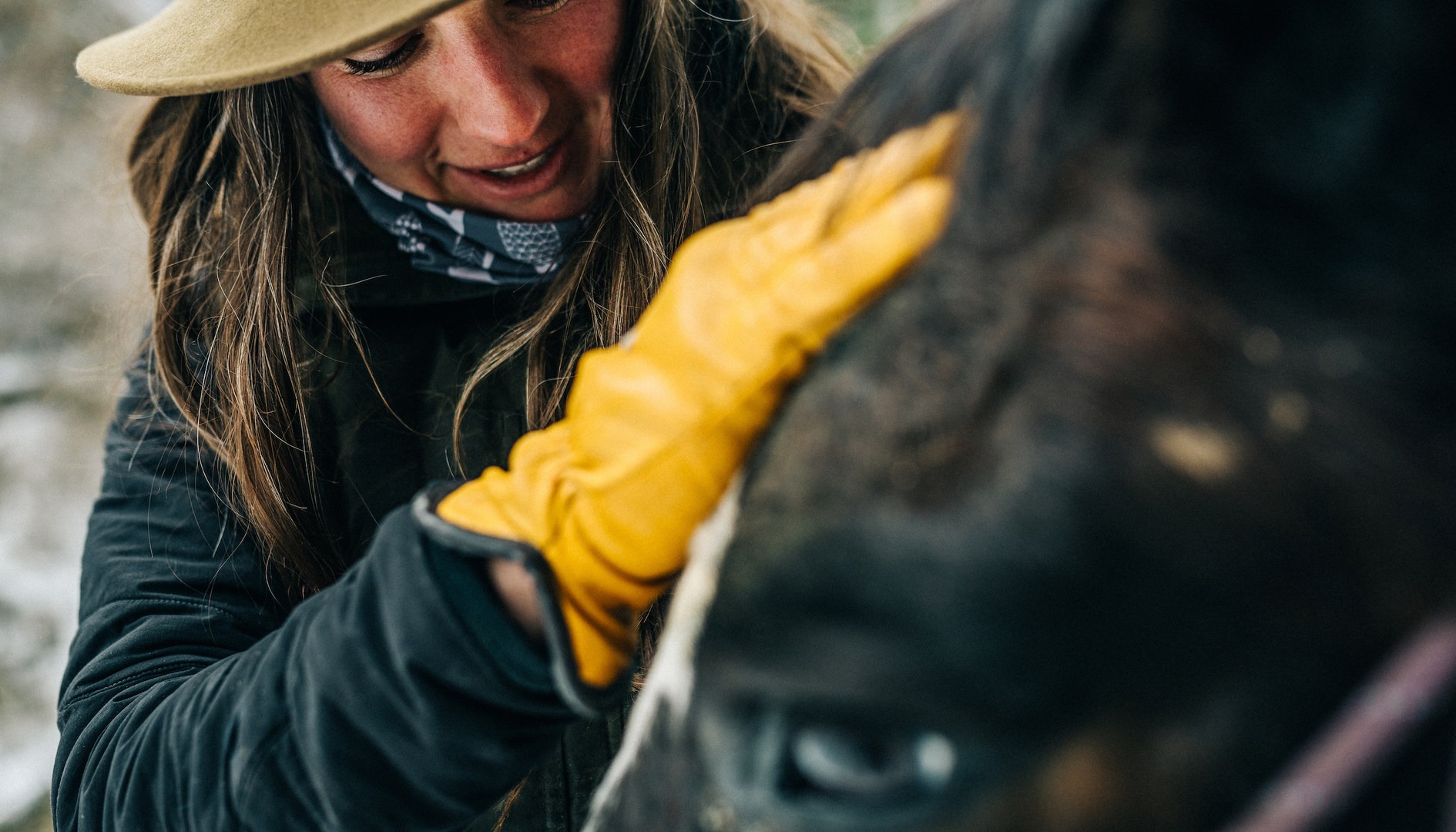 Photo by Will Saunders.