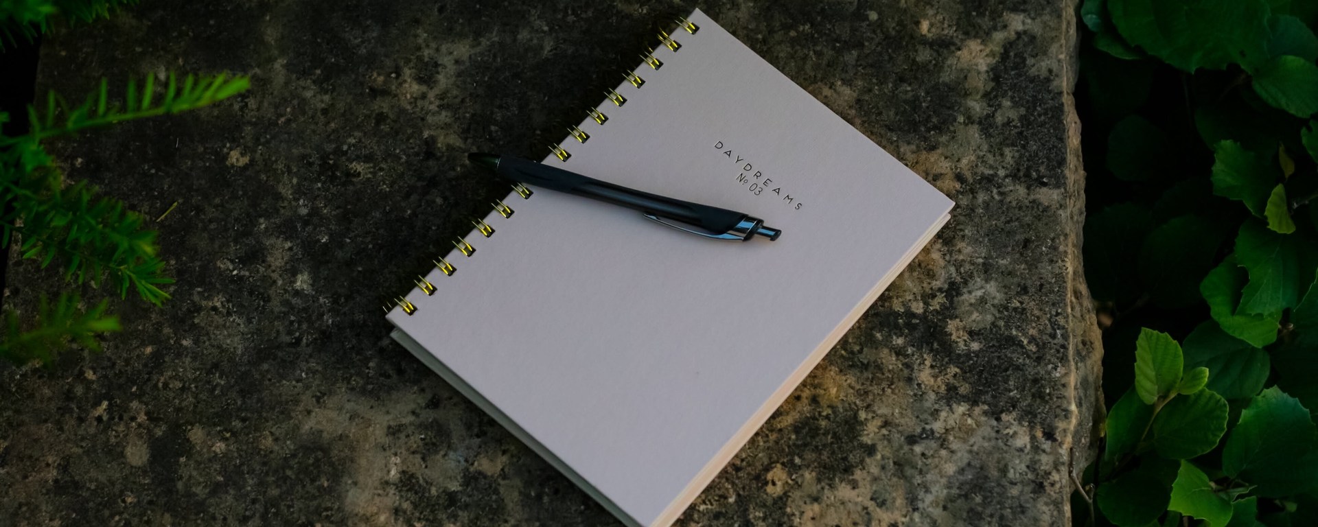 Photo by Hannah Jacobson on Unsplash.