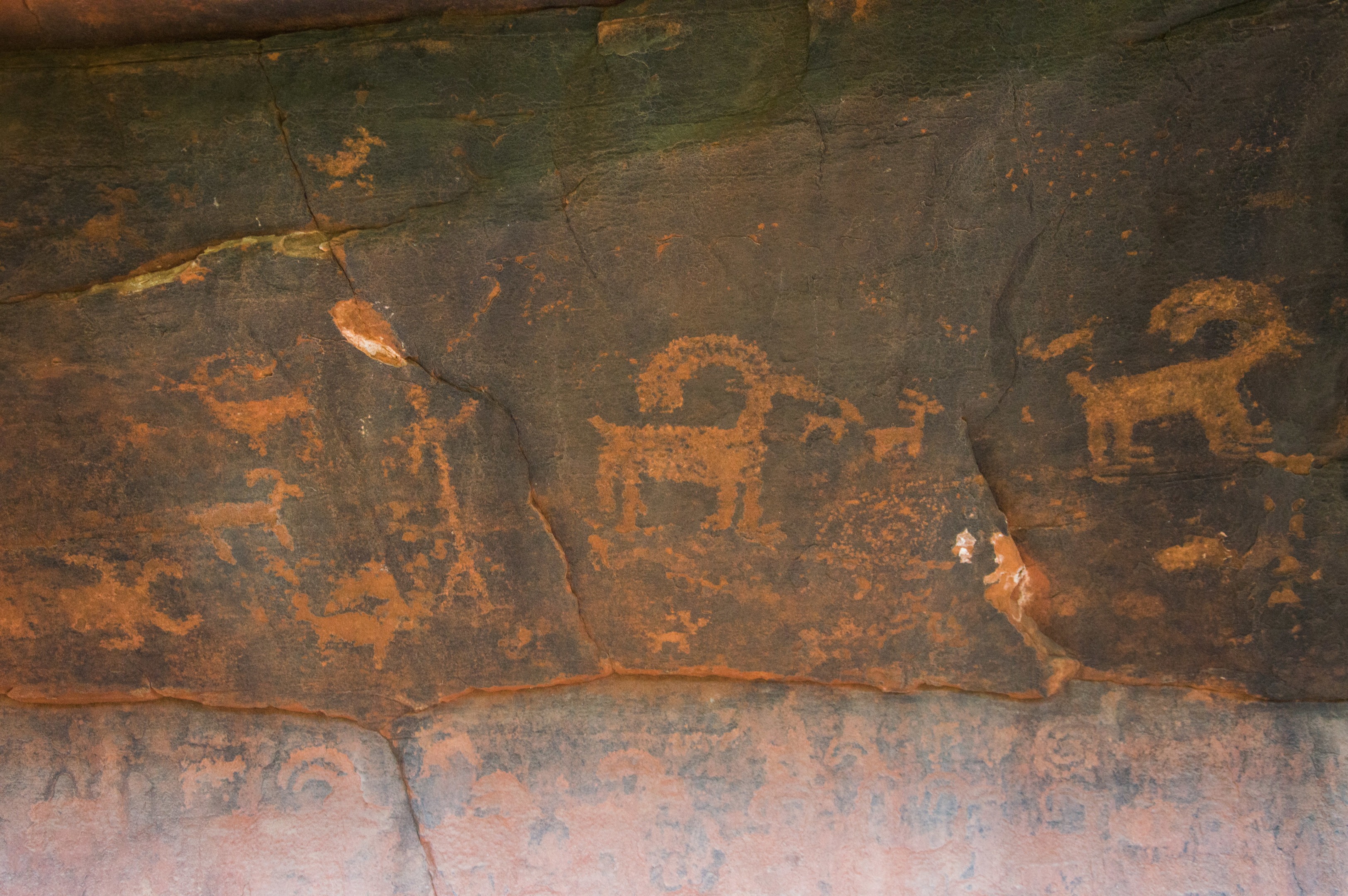 Zion's Petroglyph Canyon | Outdoor Project