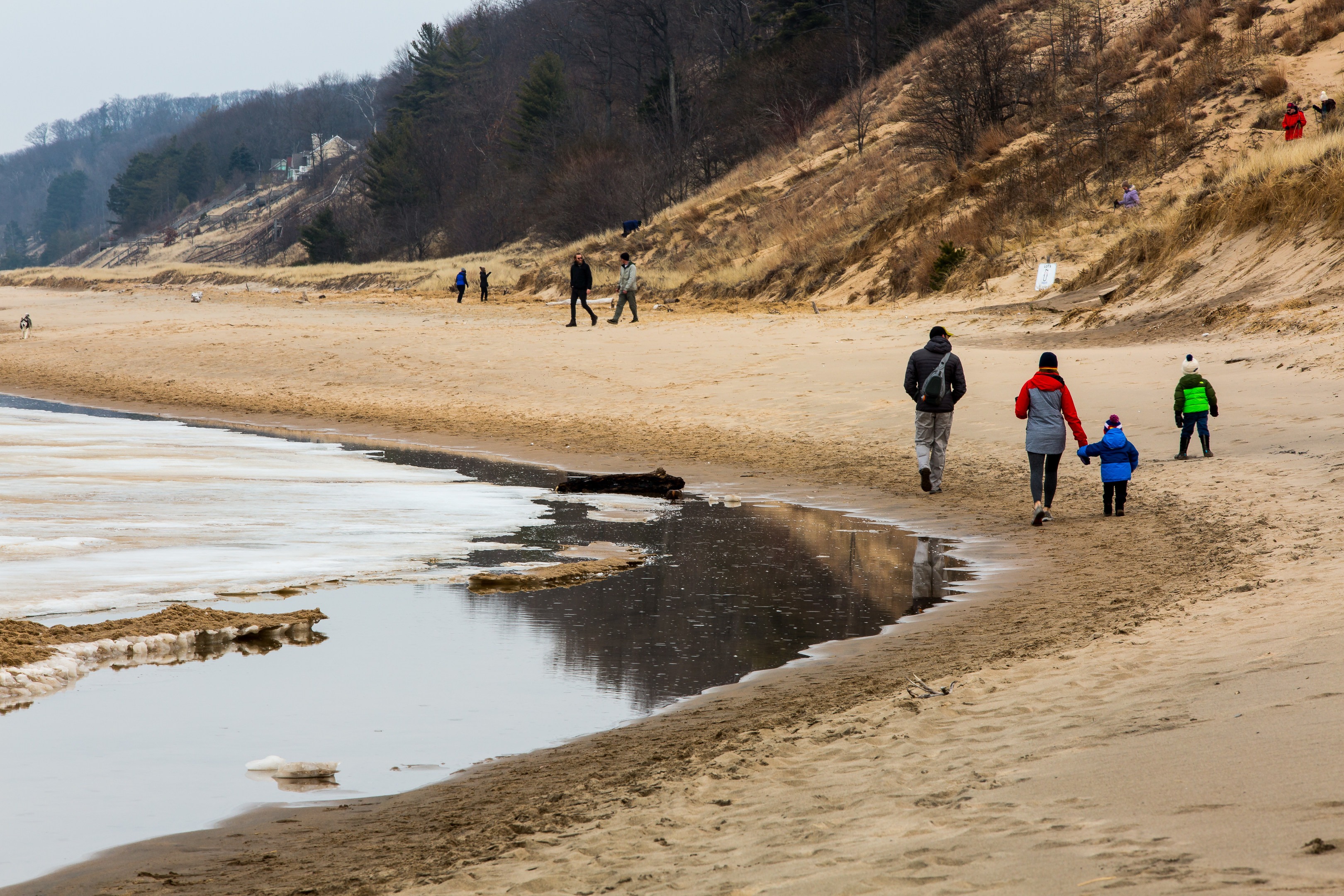 Are Dogs Allowed At Saugatuck Dunes State Park