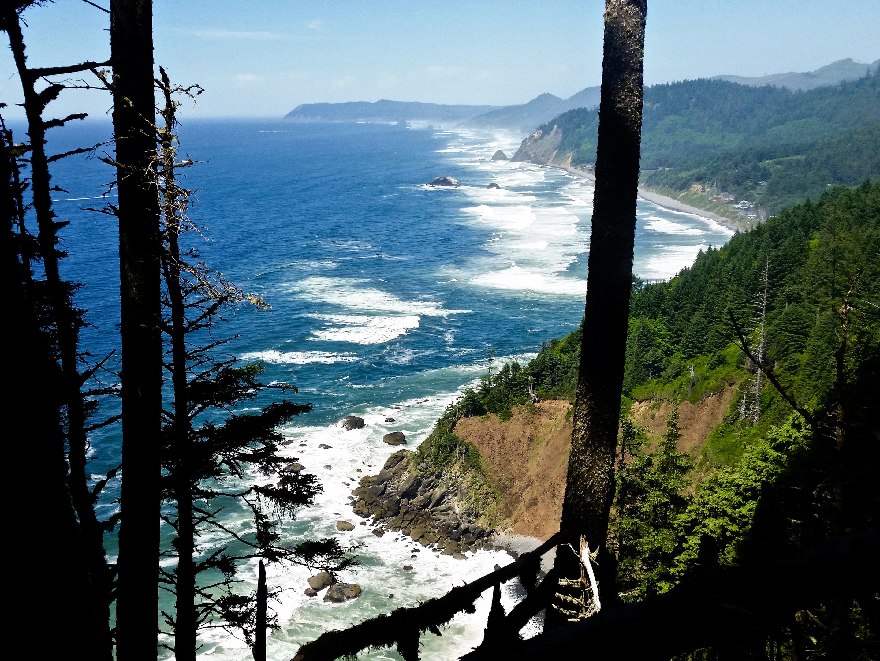 Lav vej tragedie højt Oregon Coast Trail: Arch Cape to Short Sand Beach | Outdoor Project