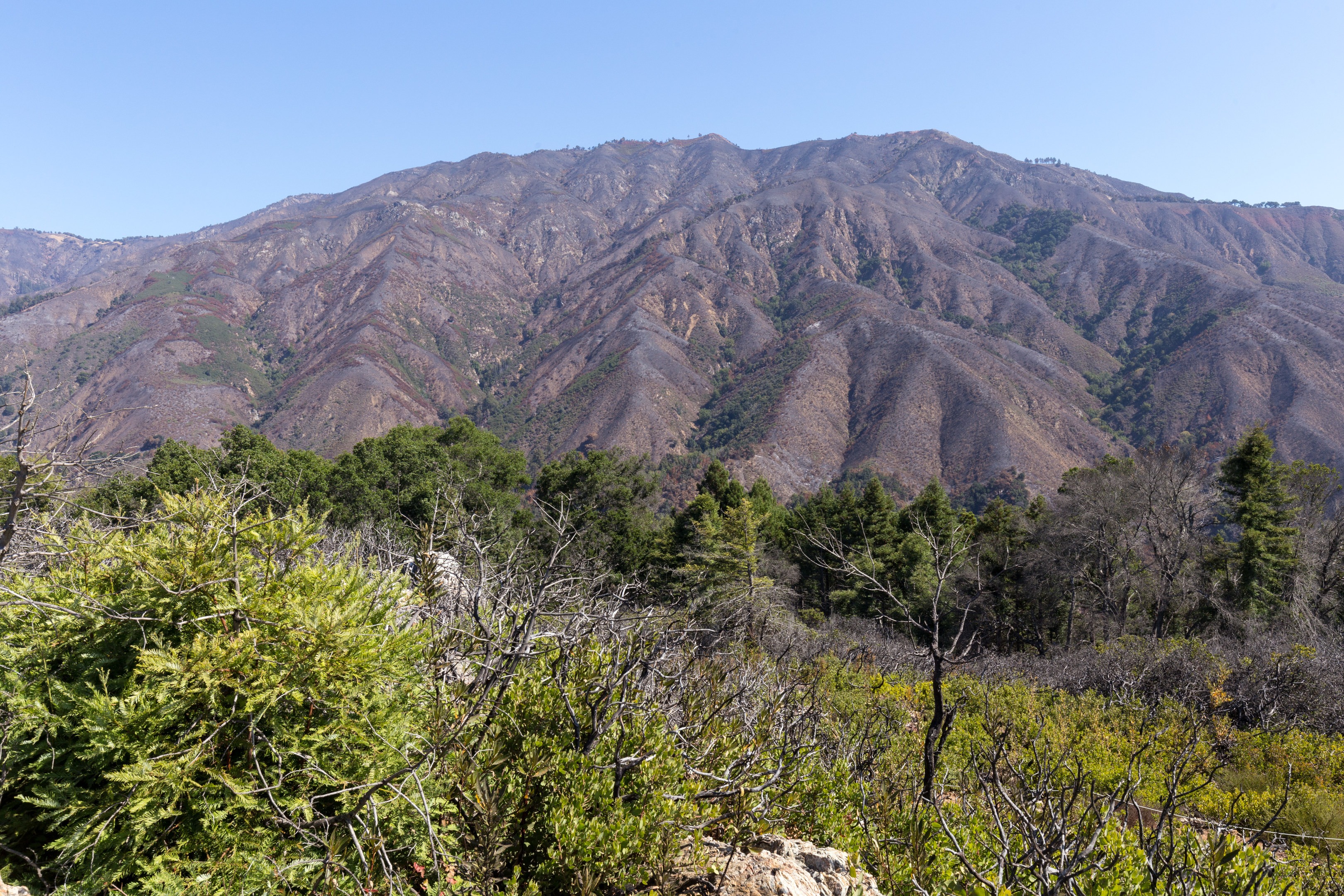 Buzzards Roost Trail Map Buzzard's Roost Trail | Outdoor Project