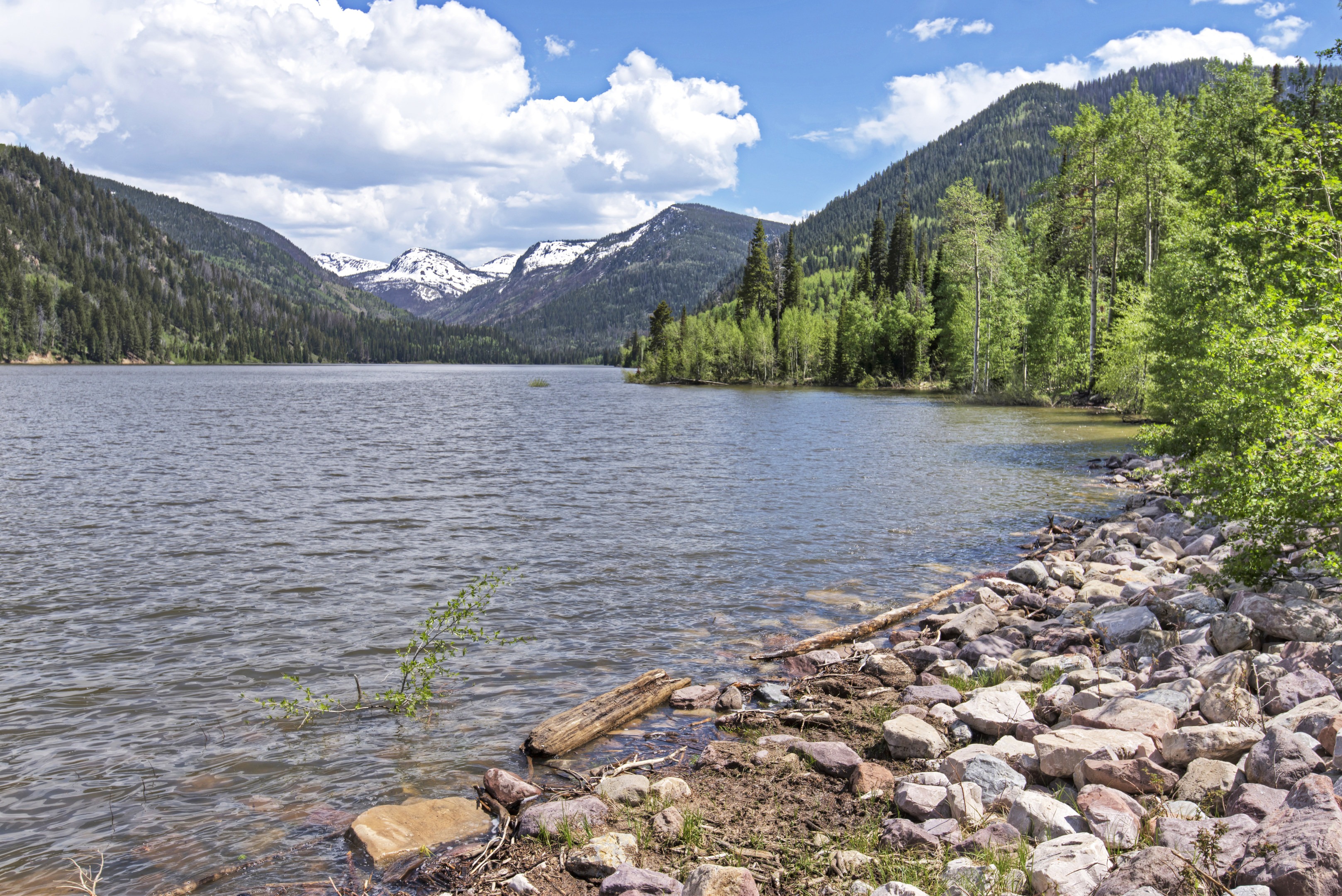 se permiten perros en el embalse de smith y morehouse