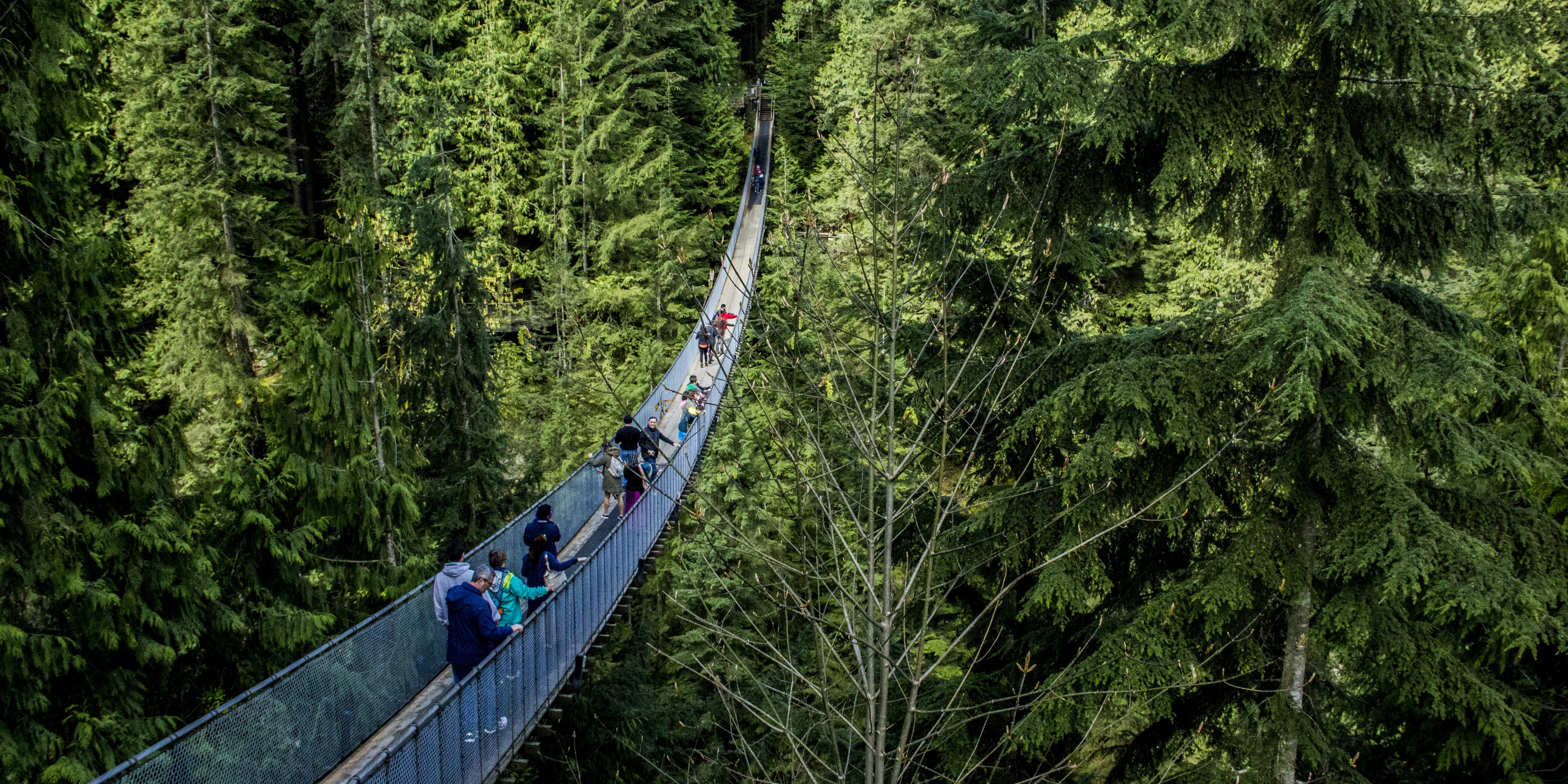 Capilano Suspension Bridge Park | Outdoor Project