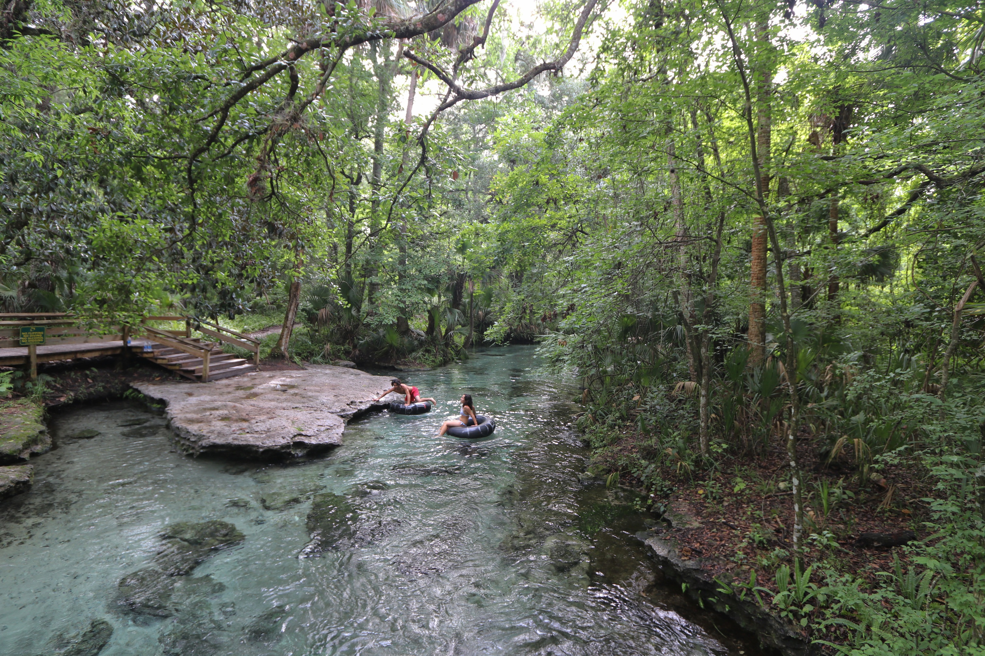 The Top 12 Fresh Water Springs In Florida