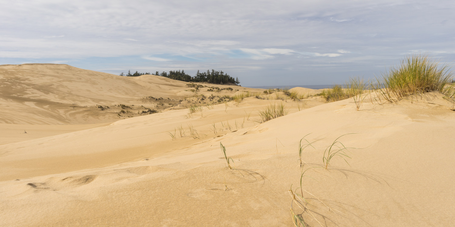 Guide to the Oregon Dunes National Recreation Area Outdoor Project