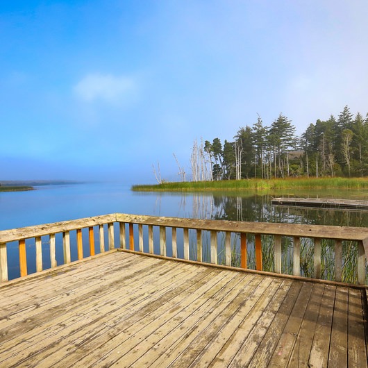Port Orford Heads State Park Trails Outdoor Project