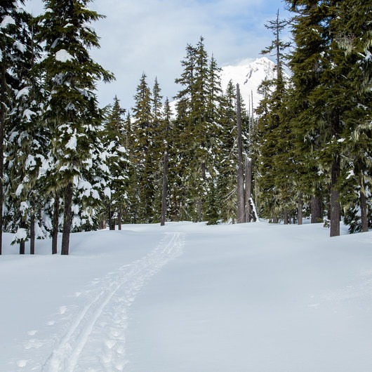 Snowshoeing on Mount Hood Outdoor Project