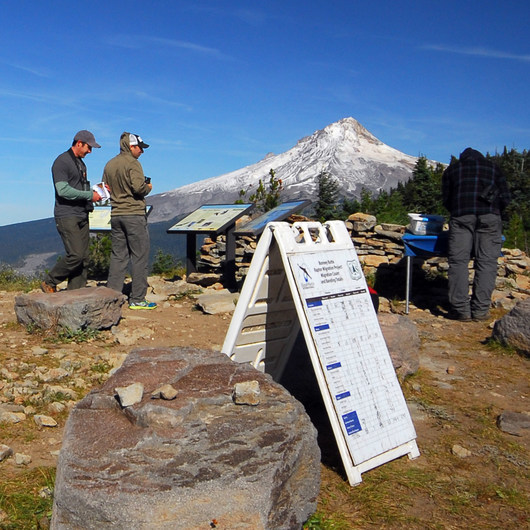 Frog Lake Campground Outdoor Project