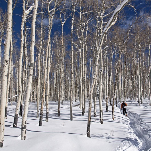 5 Great Snowshoe Trails Near Salt Lake City Outdoor Project