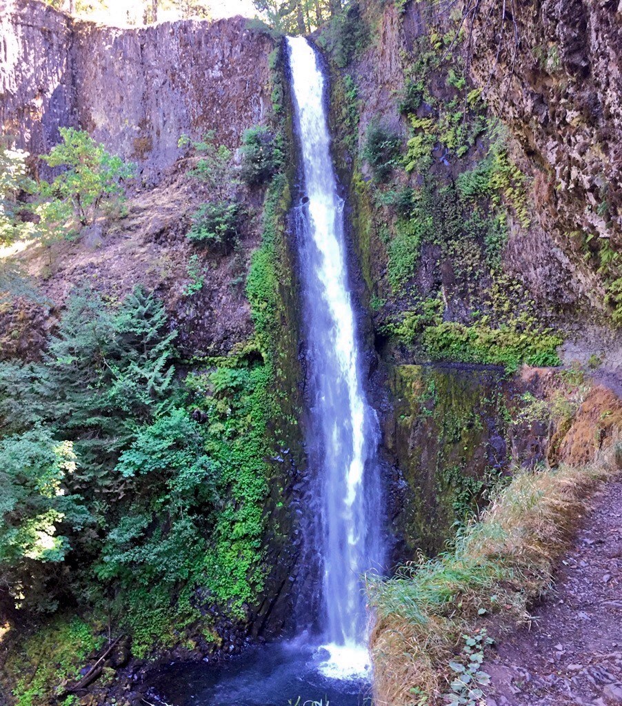 Eagle Creek Hike to Tunnel Falls hiking in Oregon