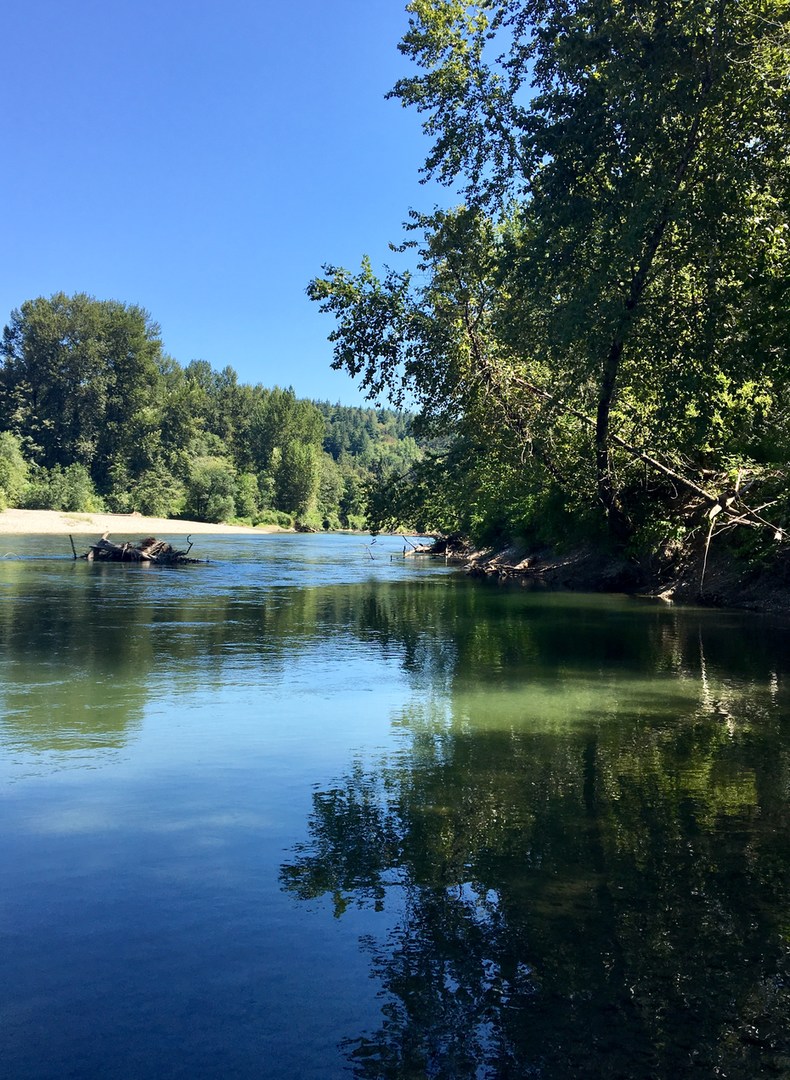 Three Forks Natural Area + Dog Park Outdoor Project