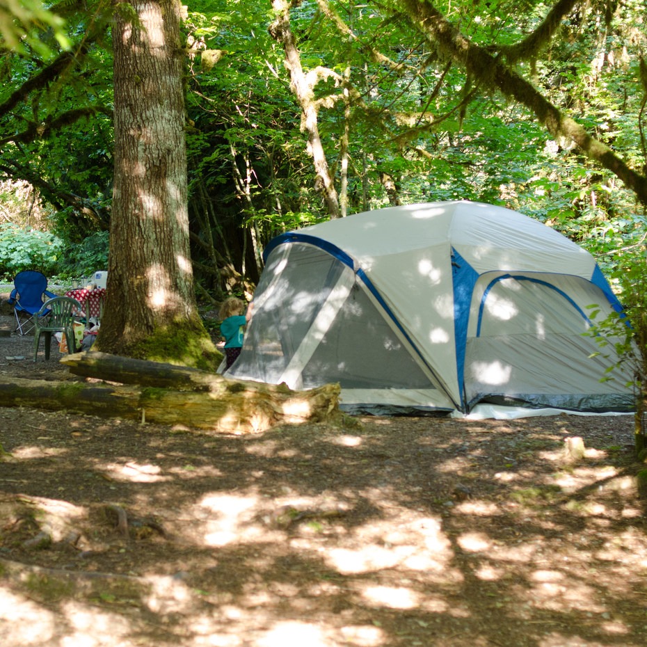 Colonial Creek Campground - North Cascades National Park - camping in ...