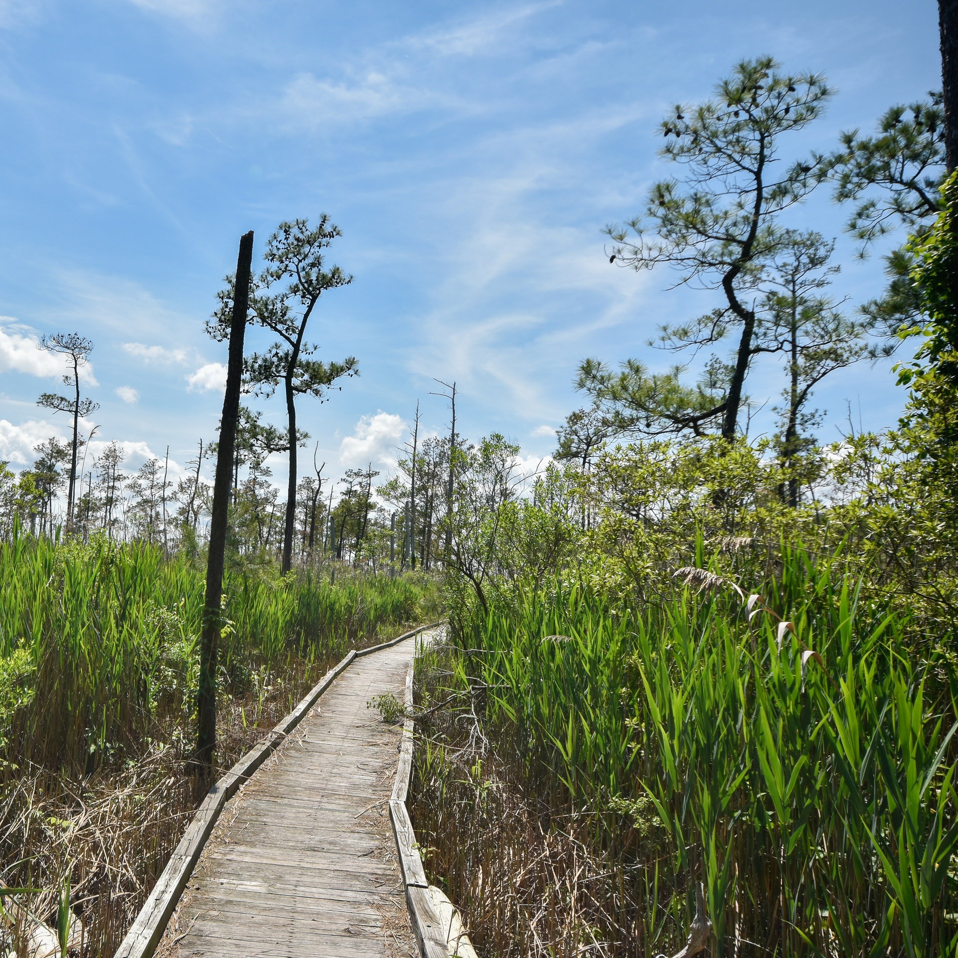 Point Lookout State Park Outdoor Project