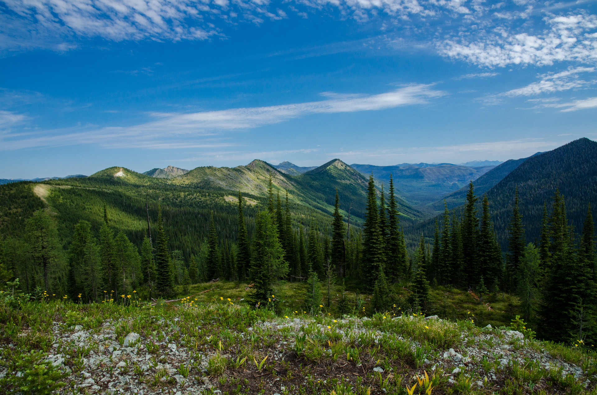 Pacific Northwest National Scenic - 01 Pole Eureka 5012 