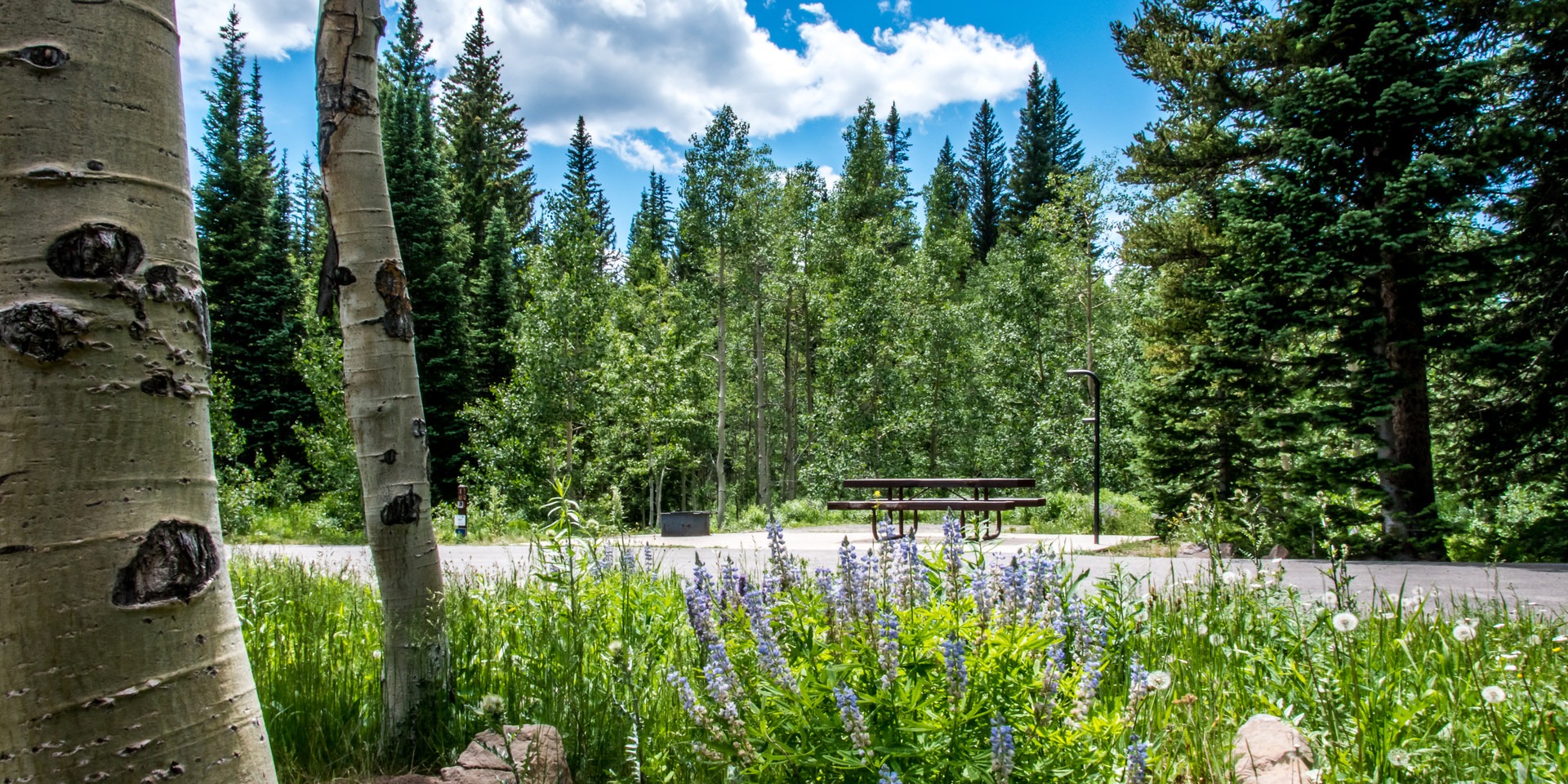 Jumbo Campground Outdoor Project