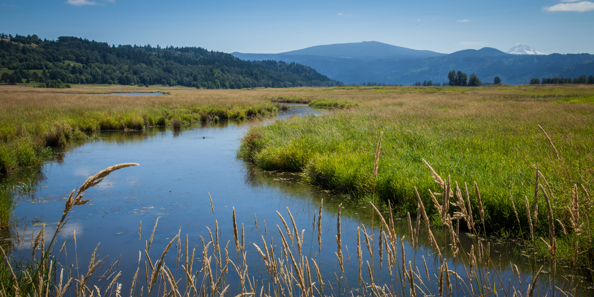 Gibbons Creek Wildlife Art Trail Outdoor Project